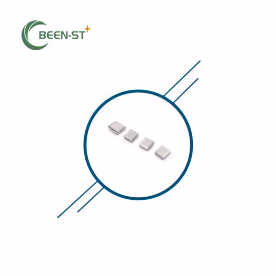 Customized Ni-MH/NiMH Rechargeable Battery Pack (AA, AAA, A, SC, D, F)