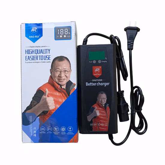 48V20ah Portable Lead