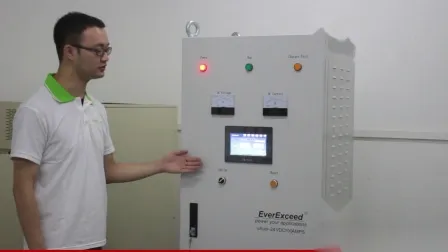 Everexceed 12V5a High Frequency