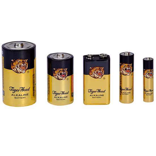 Tiger Head Dry Cell Battery 48 Pack AA Alkaline Battery Lr6 for Toys/Camera/Game Controller