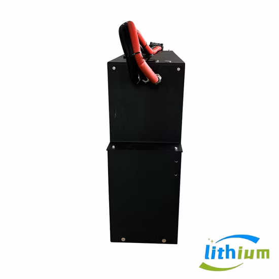 12V 24V Lithium Battery 100ah 200ah 300ah 50ah 12V/24V LiFePO4 Battery for Solar Factory Price
